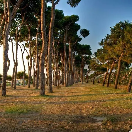 Acqua Marina Vacanza * Pineto